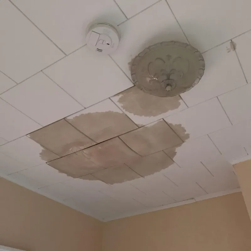 Ceiling Water Damage Repair in Carver, MN