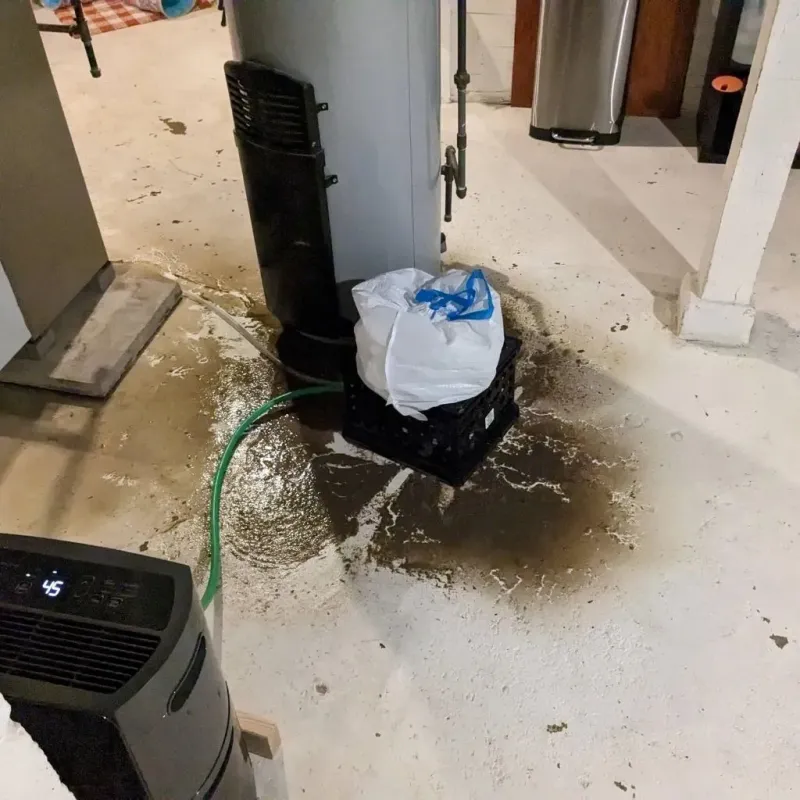 Sewage Backup Cleanup Service in Carver, MN